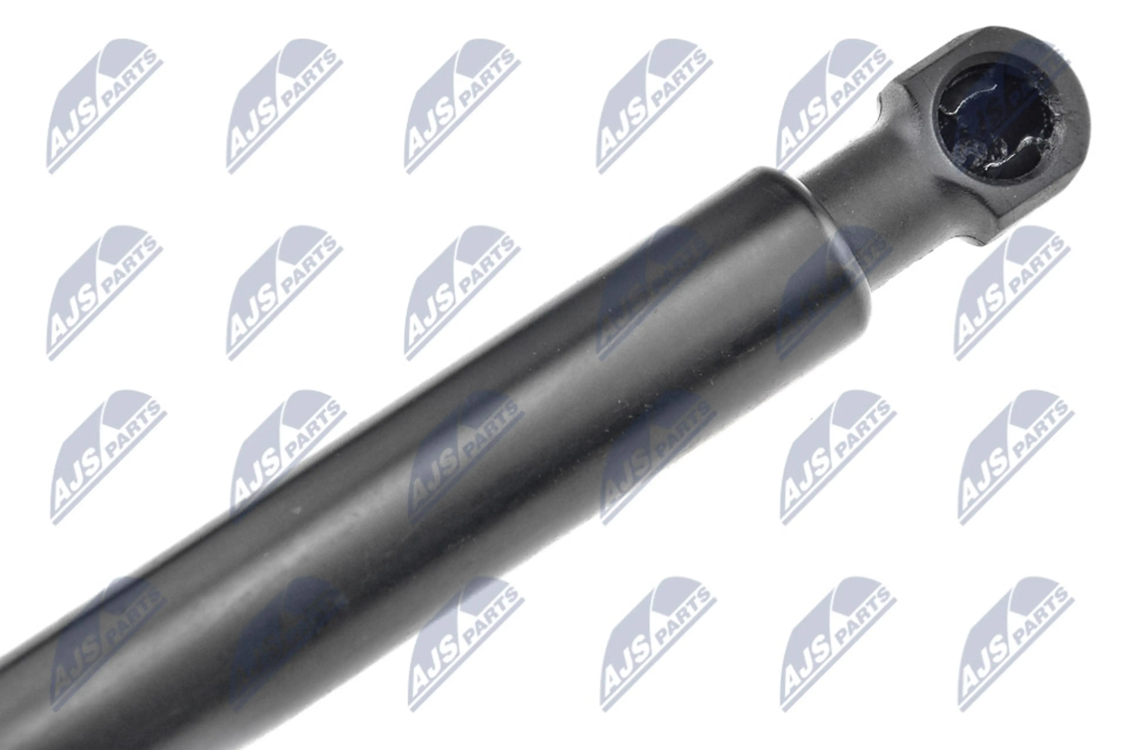 NTY MUELLE NEUMÁTICO, MALETERO / CO