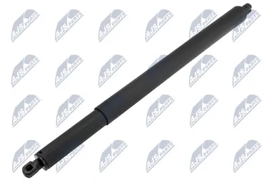 NTY MUELLE NEUMÁTICO, MALETERO / CO