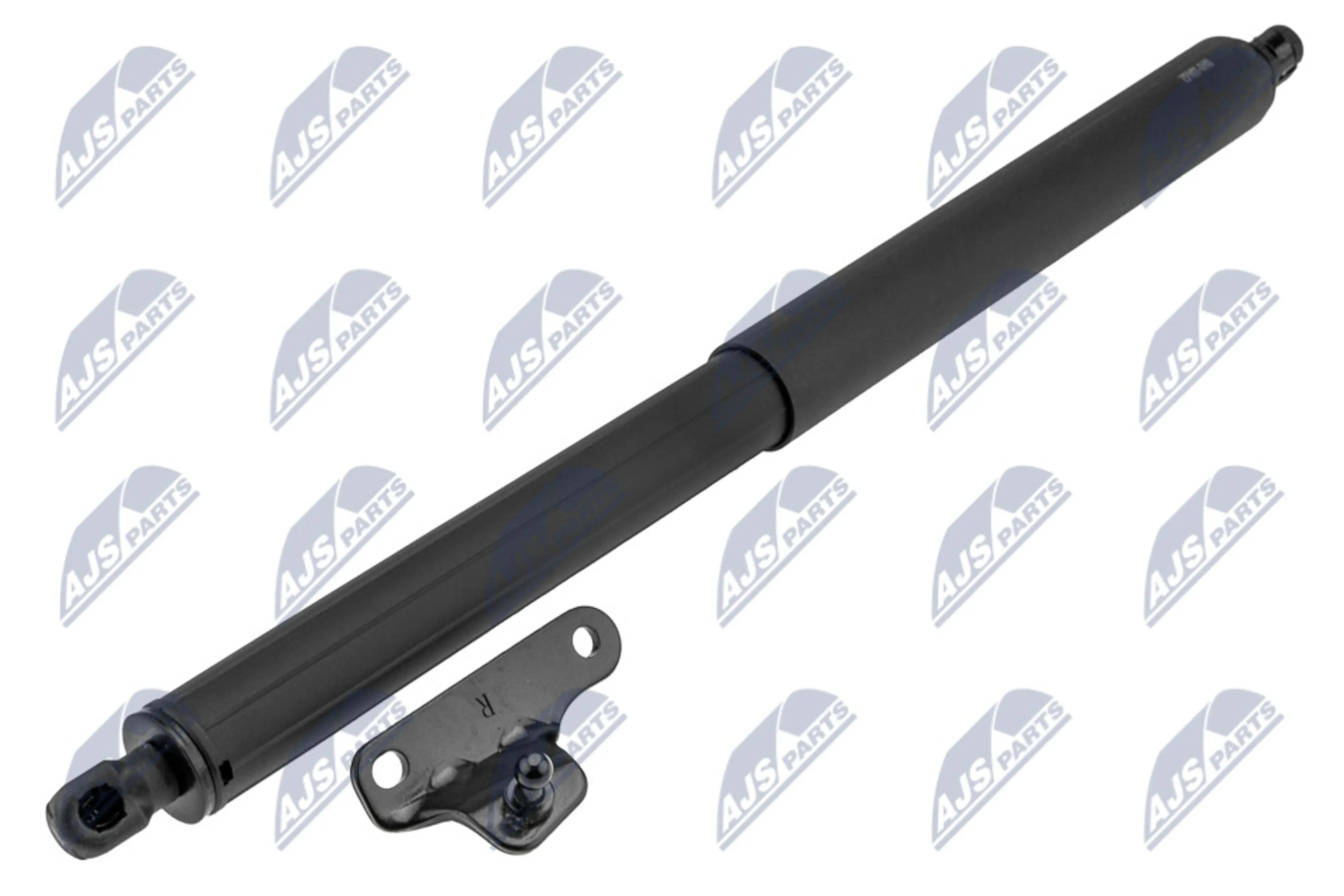 NTY MUELLE NEUMÁTICO, MALETERO / CO