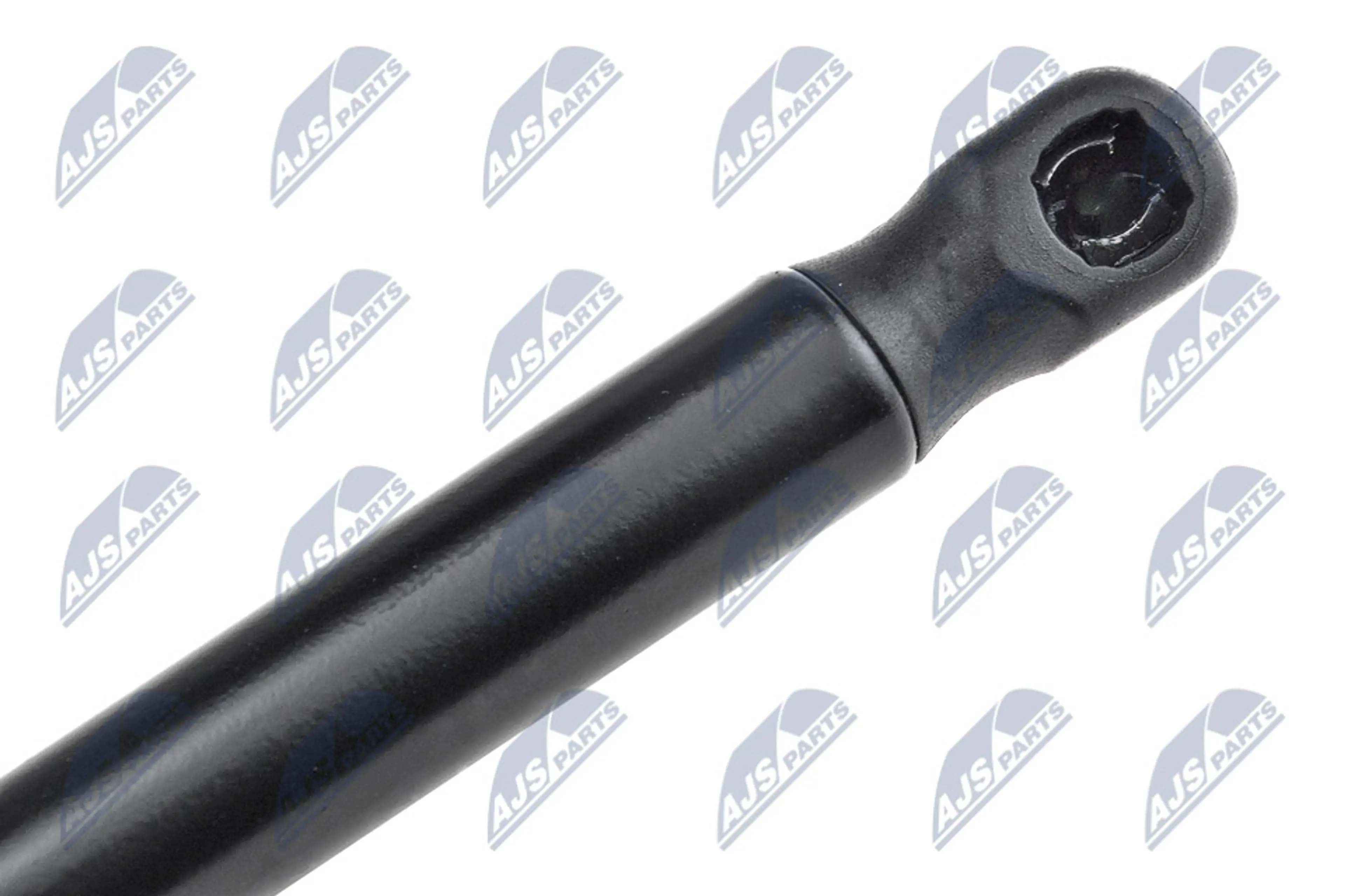 NTY MUELLE NEUMÁTICO, MALETERO / CO