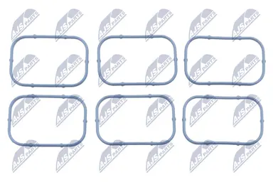 NTY ZESTAW USZCZELEK KOLEKTORA SSAC