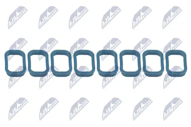 NTY ZESTAW USZCZELEK KOLEKTORA SSAC