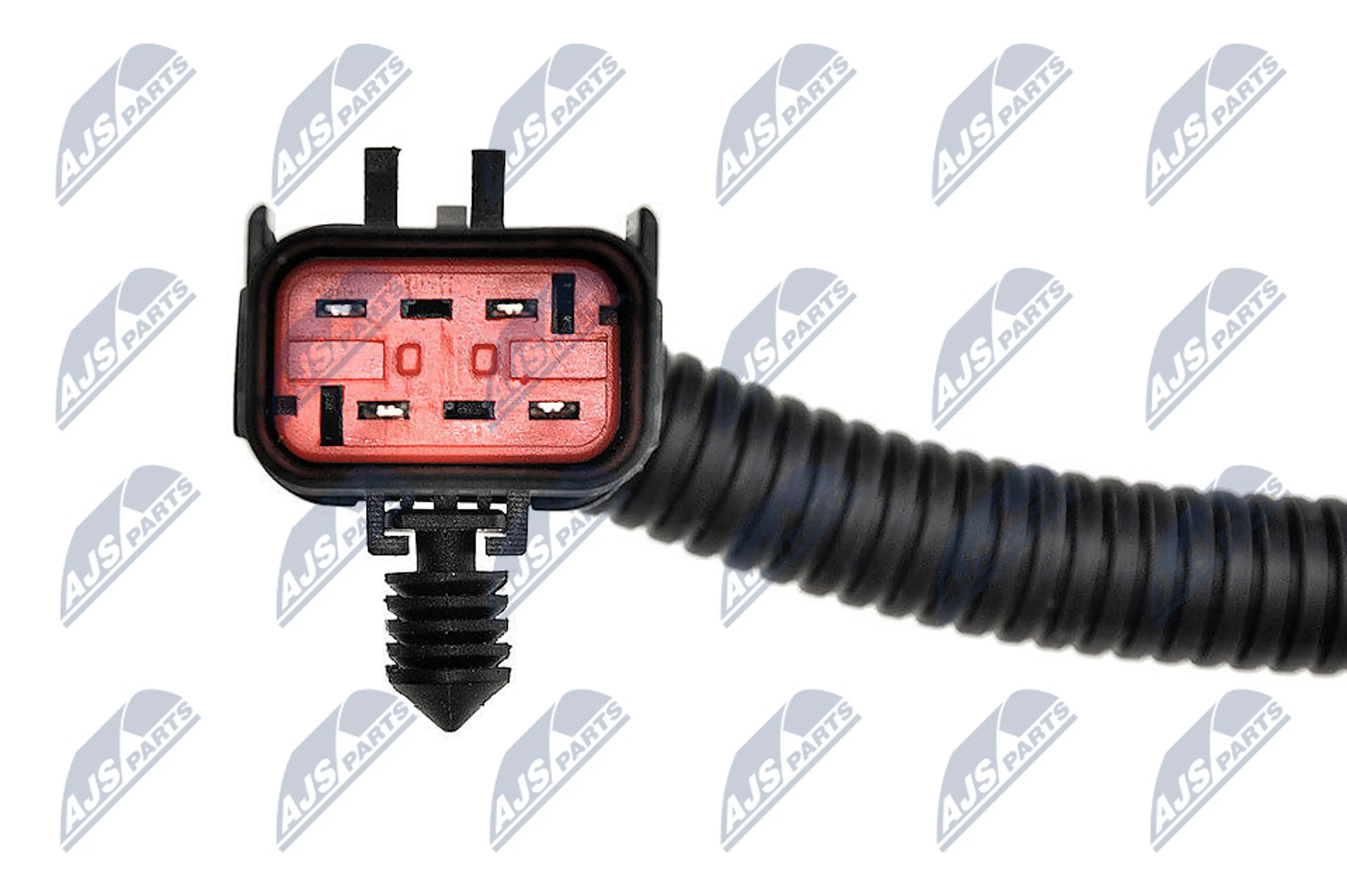 NTY BOMBA DE GASOLINA