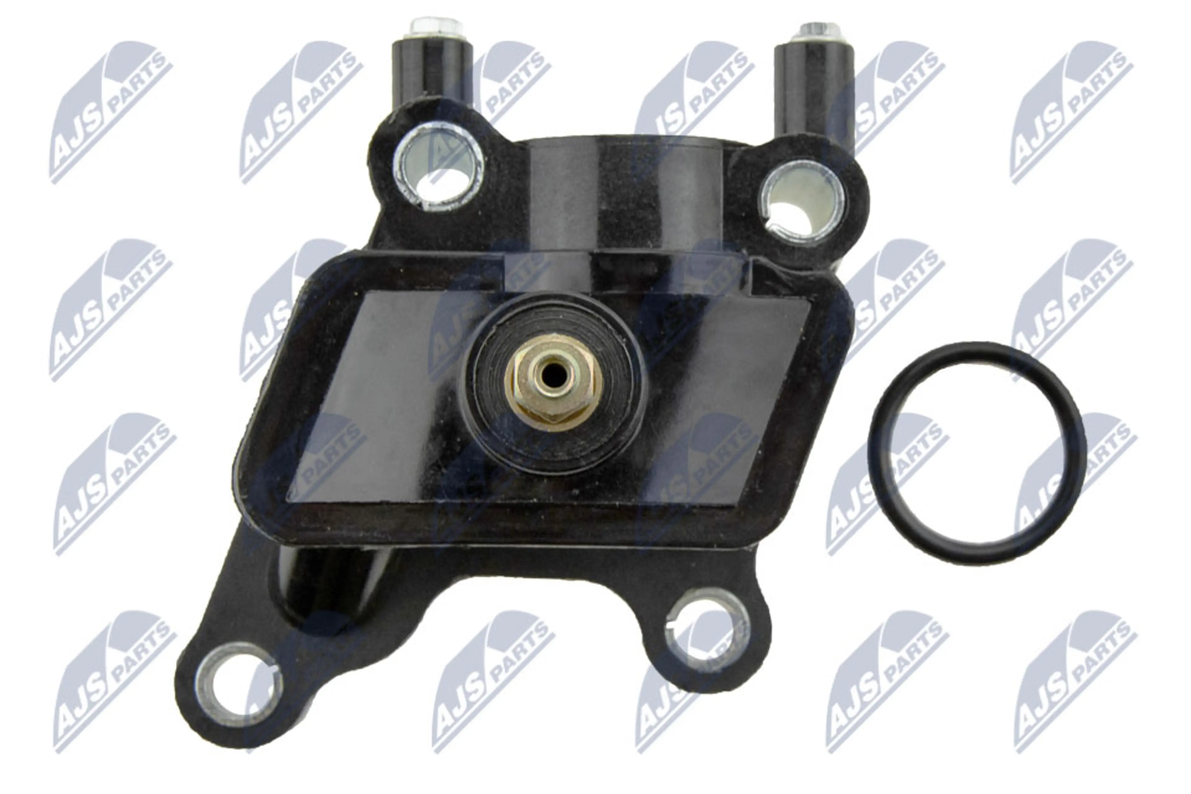 NTY TERMOSTATO Z OBUDOWA