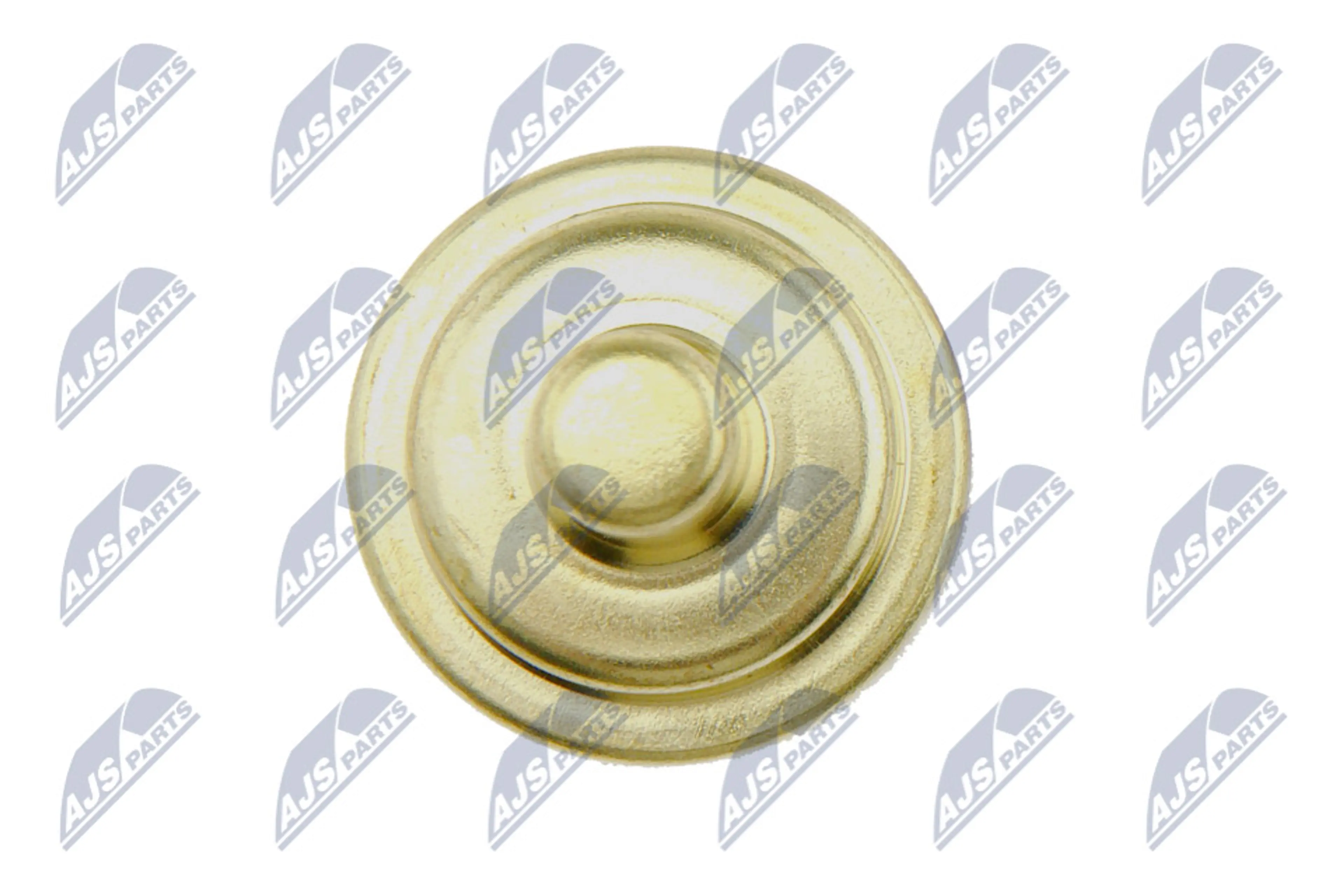 NTY SENSOR DE TEMPERATURA DEL AGUA*