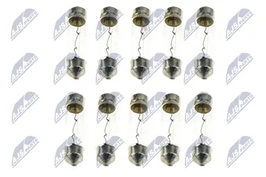 NTY (OPAKOWANIE 10 SZT.) ZARÓWKA C1