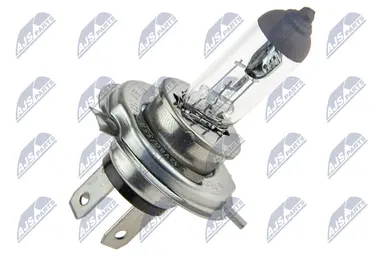 NTY (OPAKOWANIE 10 SZT.) ZARÓWKA HA