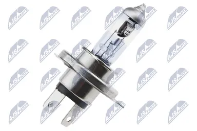 NTY BOMBILLA HALOGENA H4 PLATINUM