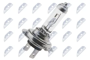 NTY BOMBILLA HALOGENA H7 LONG LIFE