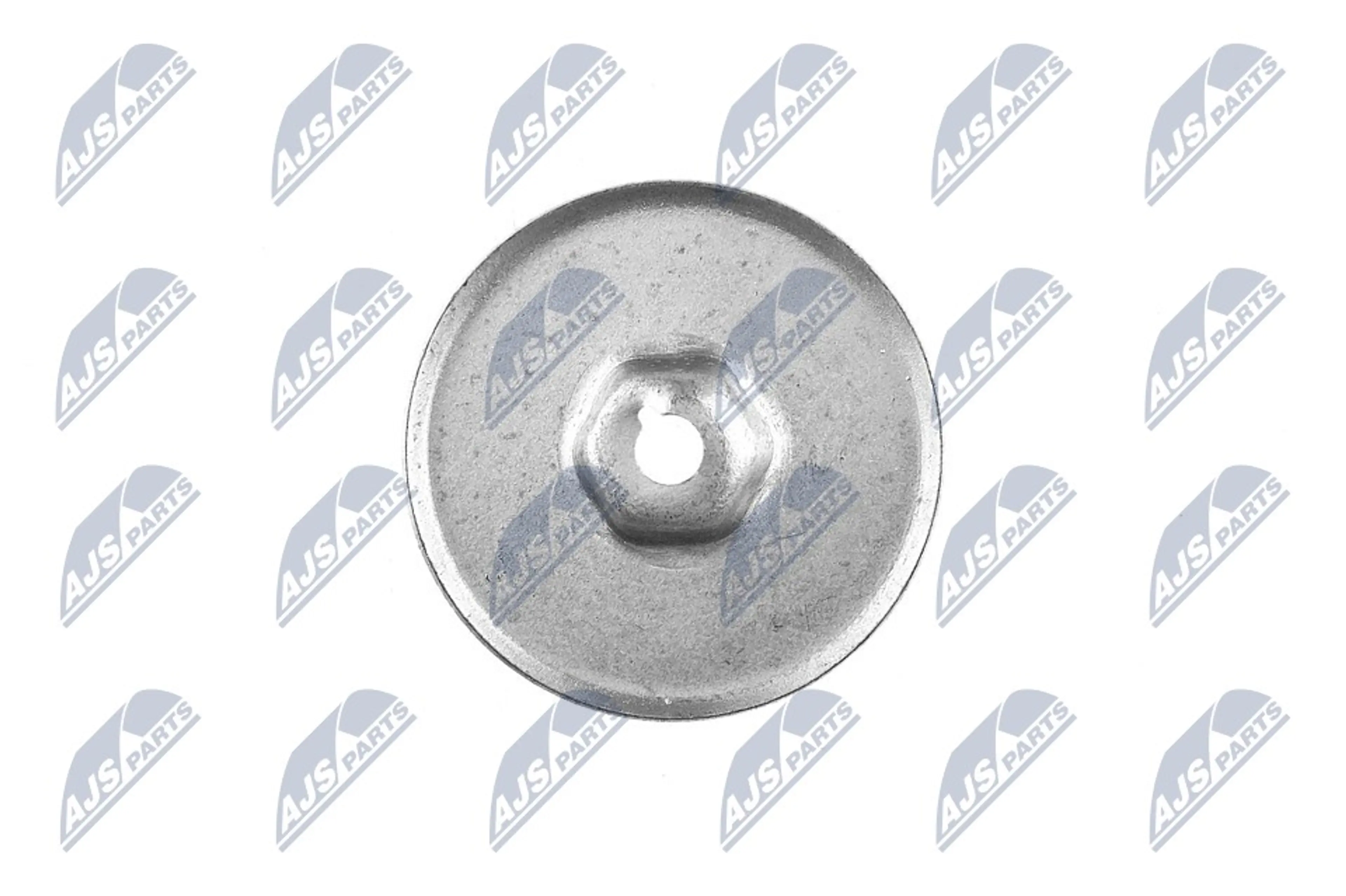 NTY CAJA DE MUELLE / ARANDELA